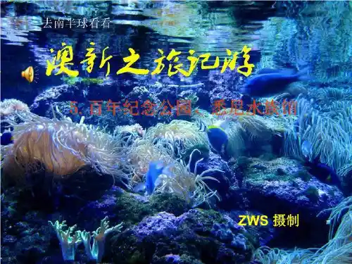 澳新之旅记游(5)百年纪念公园、悉尼水族馆-课件(PPT-精)