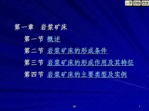 第2章 岩浆矿床(17日)