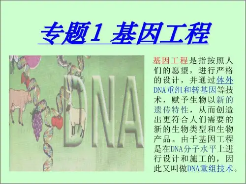DNA重组技术的基本工具