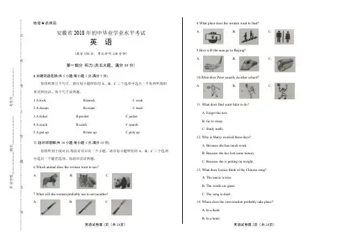 2018年安徽省中考英语试卷含答案