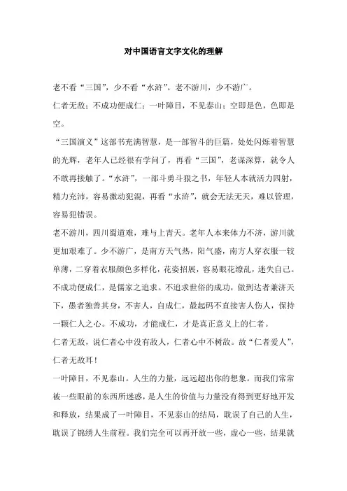 对中国语言文字文化的理解