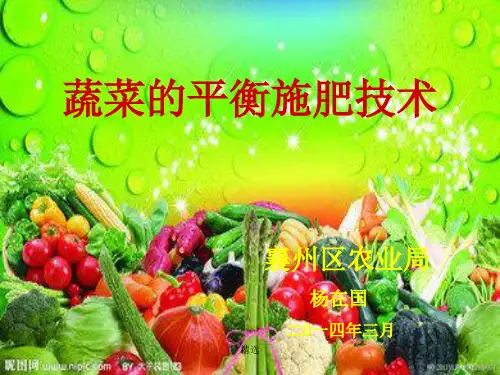 蔬菜的平衡施肥技术