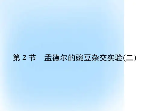 高中生物第1章遗传因子的发现第1节孟德尔的豌豆杂交实验二课件新人教版必修2