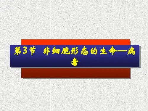病毒ppt课件