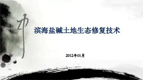 滨海盐碱化土地生态修复技术ppt