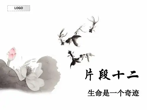 生命是一个奇迹片段十二