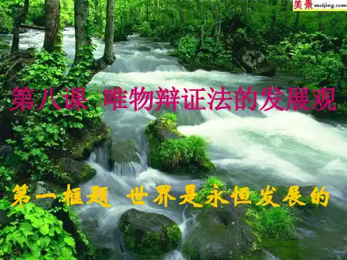 政治3.8.1世界是永恒发展的【精品课件】(人教实验版必修4)