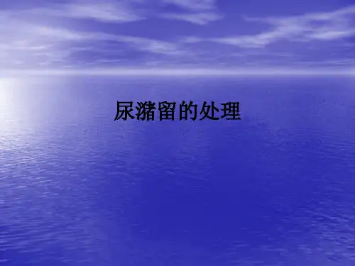 尿潴留的处理ppt课件