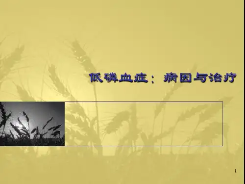 低磷血病因与治疗ppt课件