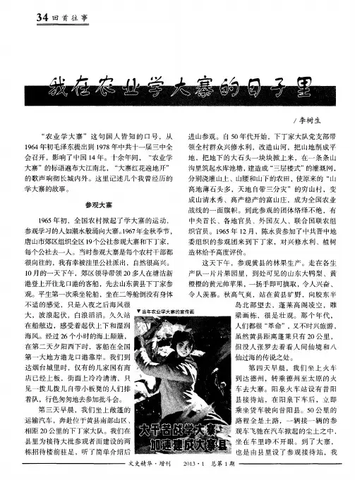 我在农业学大寨的日子里