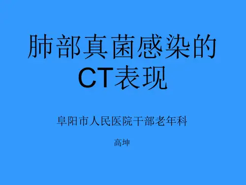 肺部真菌感染的CT表现PPT
