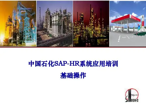 SAP-HR系统应用培训——基础操作