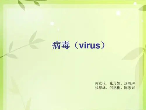 病毒 (好)