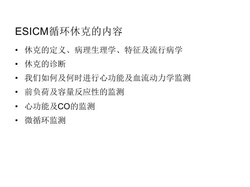 血流动力学