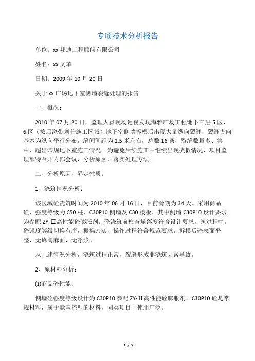 专项技术分析报告