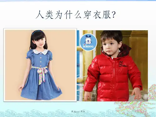 动物绝对不应该穿衣服ppt课件