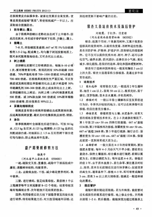 银杏大苗培育技术及栽后管护