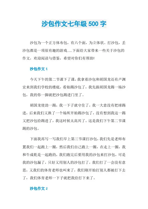 沙包作文七年级500字