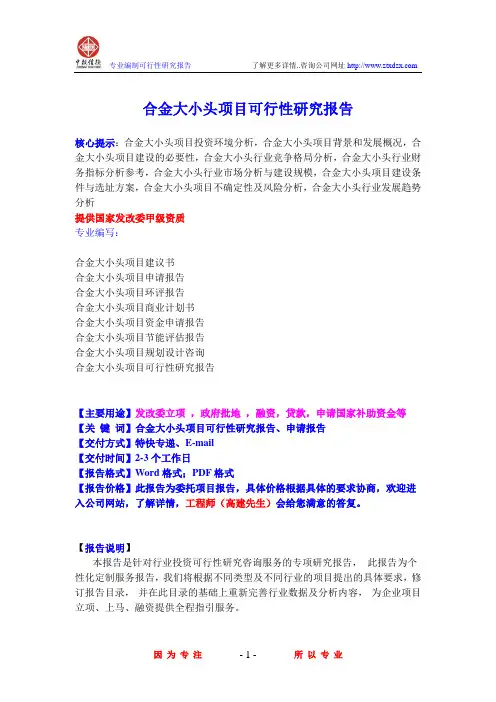 合金大小头项目可行性研究报告