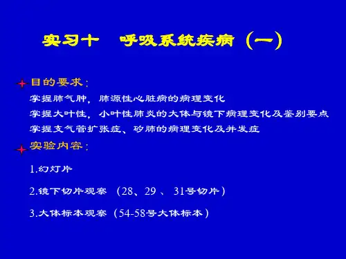 病理实验:呼吸系统疾病