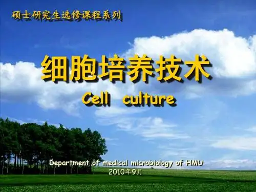 组织培养技术1