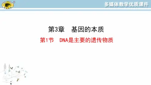 最新人教版高中生物必修二同步教学课件3.1DNA是主要的遗传物质