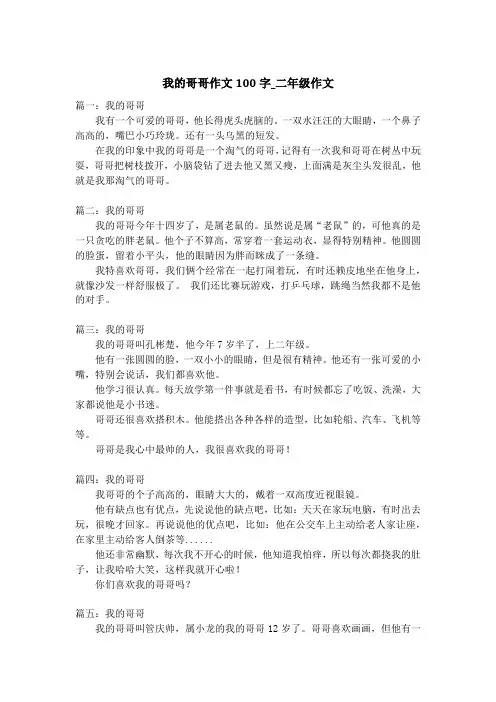 我的哥哥作文100字_二年级作文