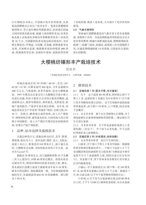 大樱桃纺锤形丰产栽培技术