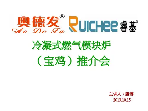 冷凝式燃气模块炉培训