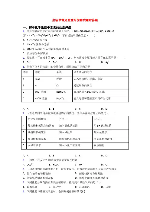 生活中常见的盐培优测试题附答案