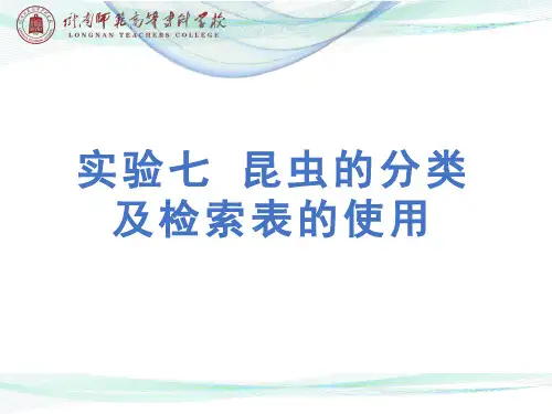 实验七 昆虫的分类及检索表的使用