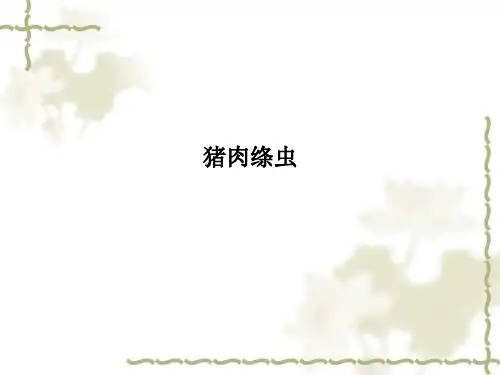 猪肉绦虫