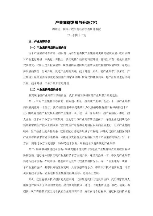 产业集群发展与升级(下)
