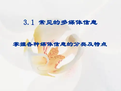 3.1 常见的多媒体信息
