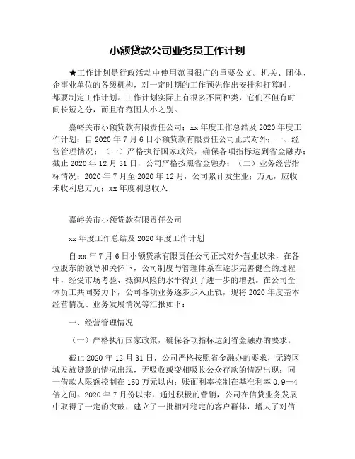 小额贷款公司业务员工作计划