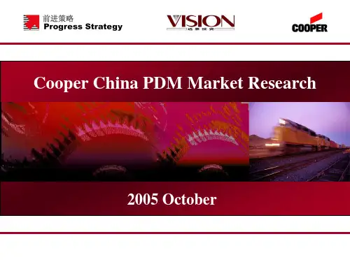 库柏中国市场研究中期报告中期报告