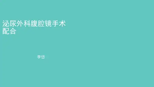 泌尿外科腹腔镜手术