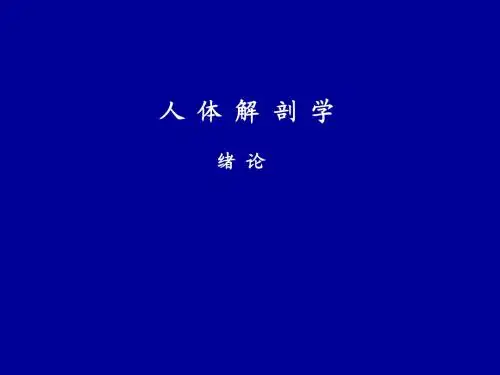 第1讲:绪论、躯干骨、上肢骨及连结