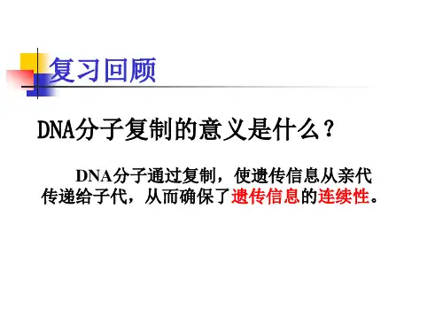 细胞核核糖体细胞质DNA