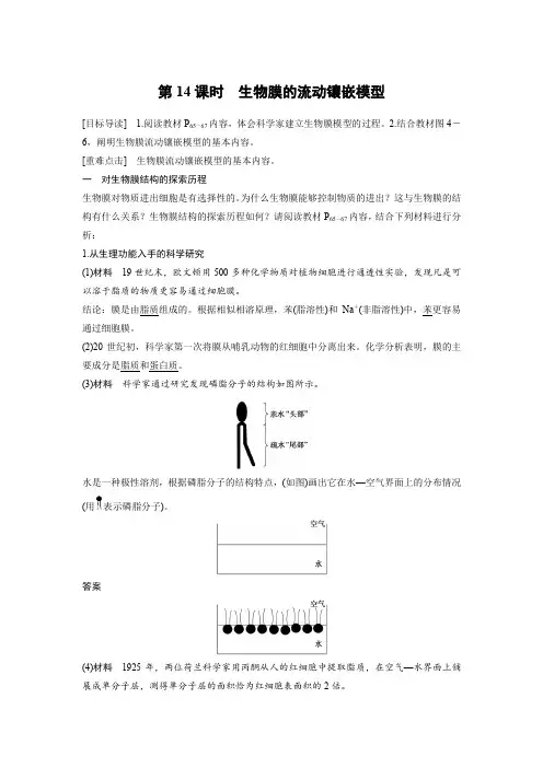 生物人教版必修1习题：4.2 生物膜的流动镶嵌模型 word版含解析