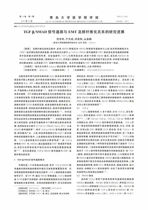 TGF-βSMAD信号通路与EMT及肺纤维化关系的研究进展