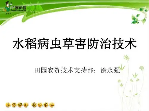 1水稻病虫草害简介、卷叶虫及其防治技术