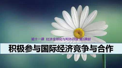人教版高中政治必修1精品课件8:11.2 积极参与国际经济竞争与合作