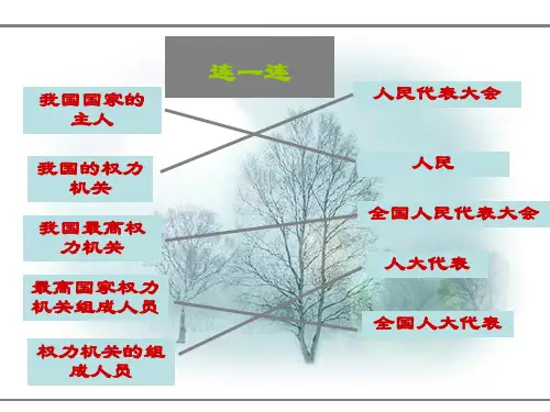 我国的权力机关(精)