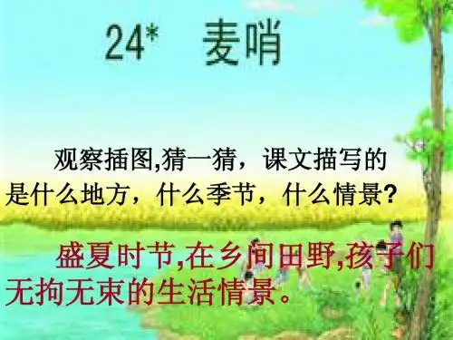 24.麦哨