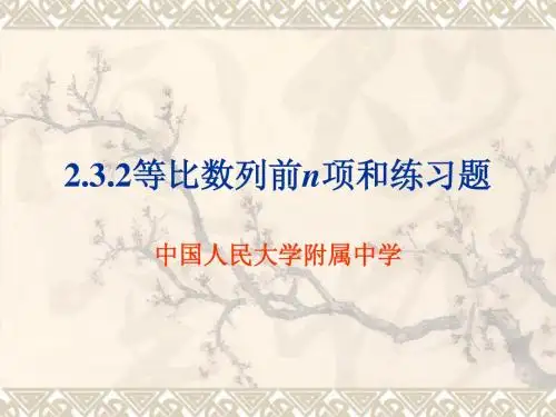 2.3.2等比数列前n项和练习题