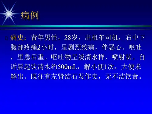 泌尿系结石PPT参考幻灯片