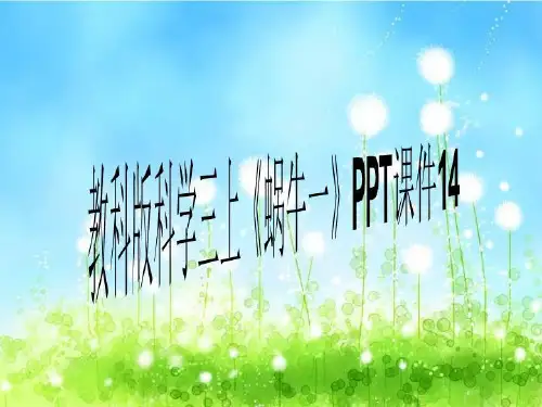 教科版科学三上《蜗牛一》P2021PT课件14