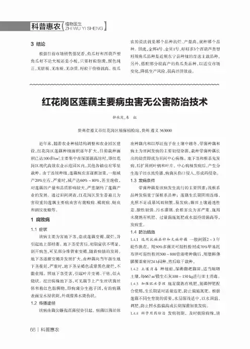 红花岗区莲藕主要病虫害无公害防治技术
