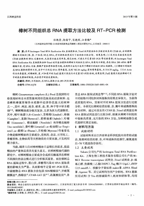 樟树不同组织总RNA提取方法比较及RT-PCR检测